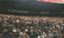 gal/1981-1982/_thb_zve_dinamo.jpg