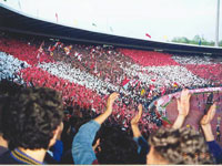 gal/1994-1995/_thb_100derbi1.jpg