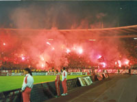 gal/1994-1995/_thb_100derbi5.jpg