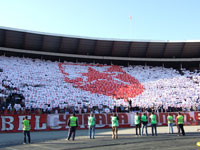 gal/2008-2009/cz_borac_3krug/_thb_delije09.jpg