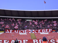 gal/2008-2009/cz_hajduk/_thb_delije01.jpg