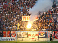 gal/2010-2011/smederevo_CZ/_thb_delije08.jpg