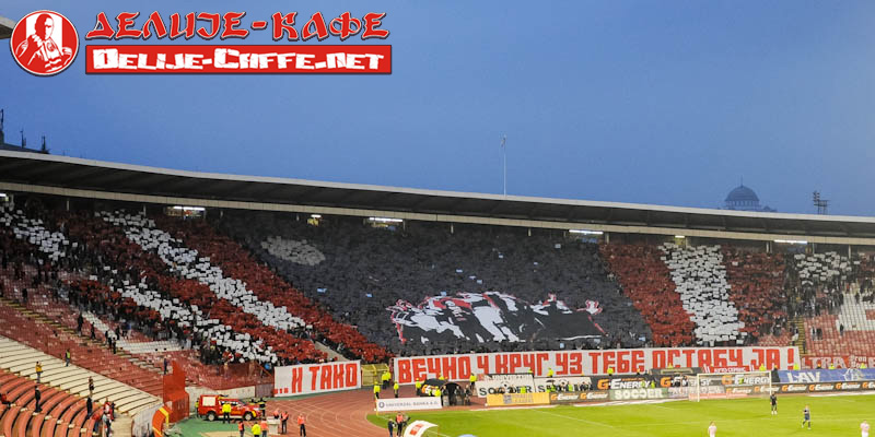 gal/2012-2013/cz_radnicki_kg/delije02.jpg