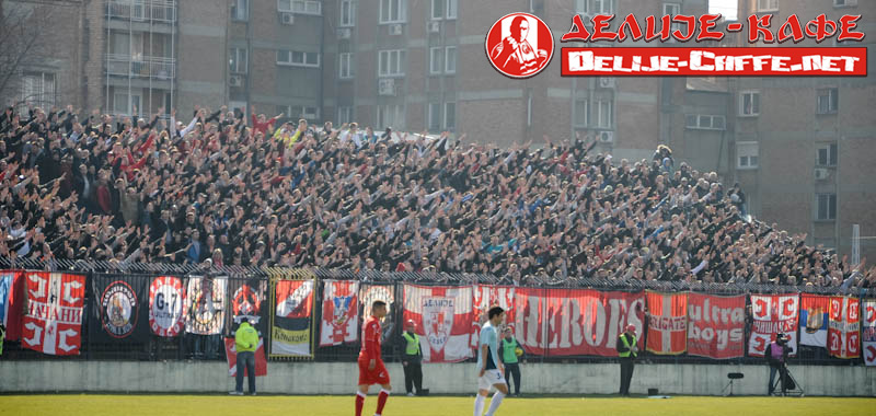 gal/2012-2013/rad_cz/delije02.jpg