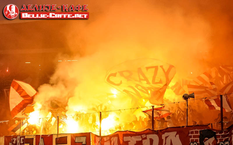 gal/2013-2014/cz_donji_srem/delije02.jpg