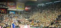 gal/2013-2014/cz_megavizura_kup_basket/_thb_delije02.jpg