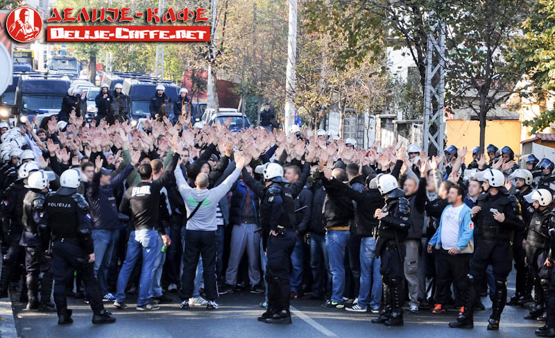 gal/2013-2014/rad_cz/delije01.jpg