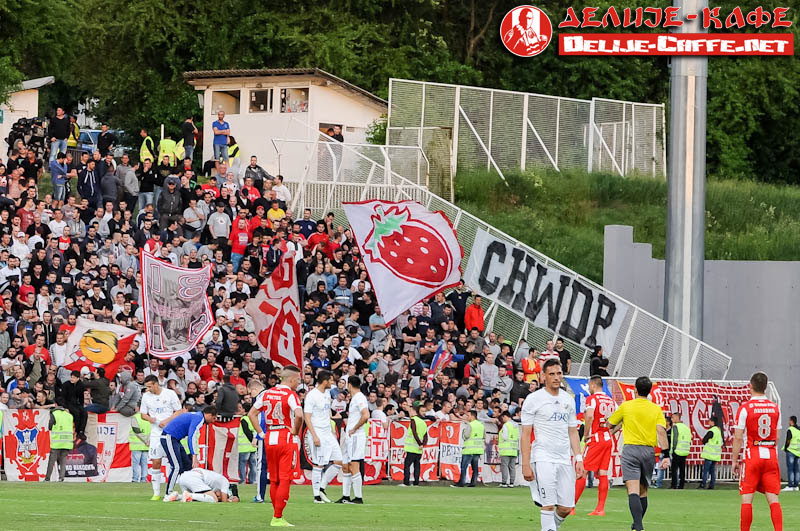 gal/2014-2015/cukaricki_cz/delije02.jpg