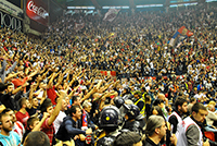 gal/2015-2016/cz_bajern_basket/_thb_delije03.jpg