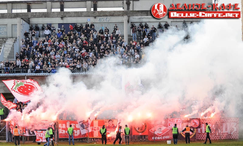 gal/2015-2016/rad_cz/delije03.jpg