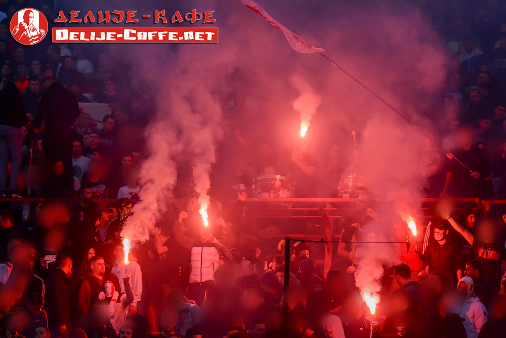 gal/2024-2025/cz_radnicki_nis/delije10.jpg