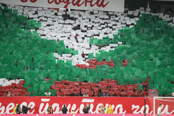 gal/2024-2025/cz_spartak/_thb_delije07.jpg