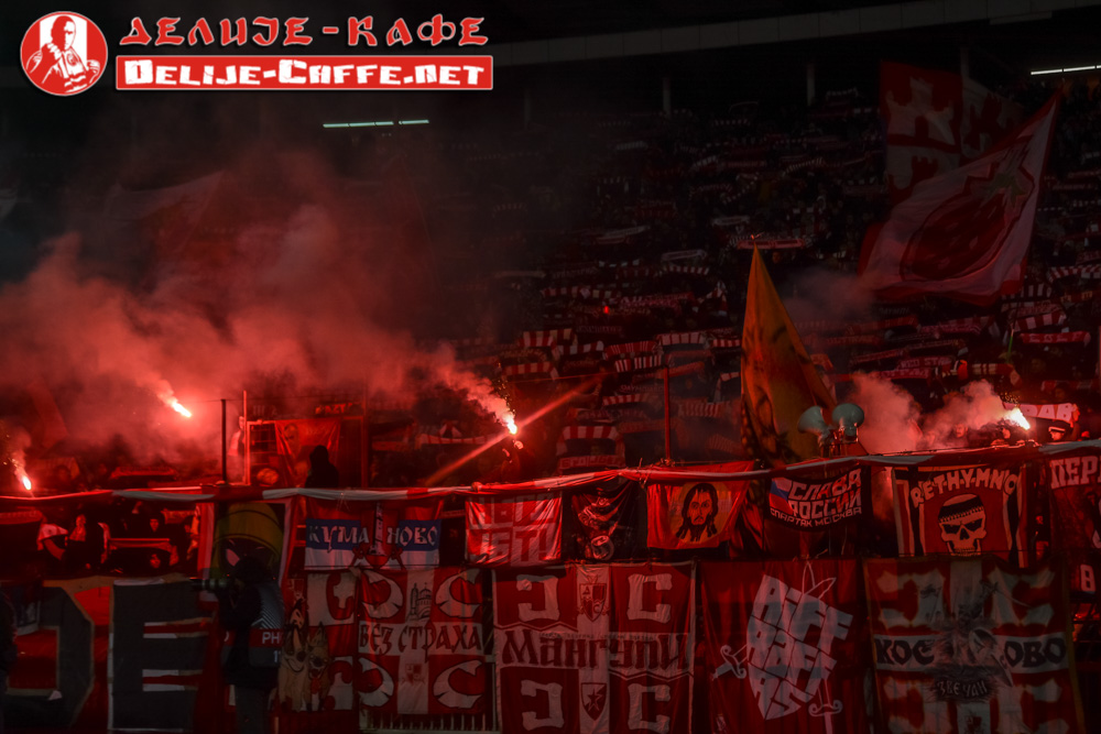 gal/2025-2026/cz_fcsb/delije07.jpg