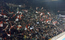 gal/razno/_thb_delije001.jpg