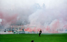 gal/razno/_thb_delije007a.jpg