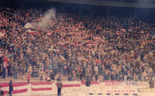 gal/razno/_thb_delije062.jpg