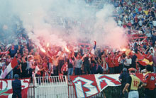 gal/razno/_thb_delije069.jpg