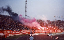 gal/razno/_thb_delije080.jpg