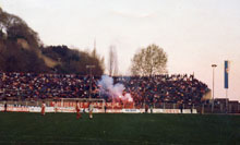 gal/razno/_thb_delije086.jpg